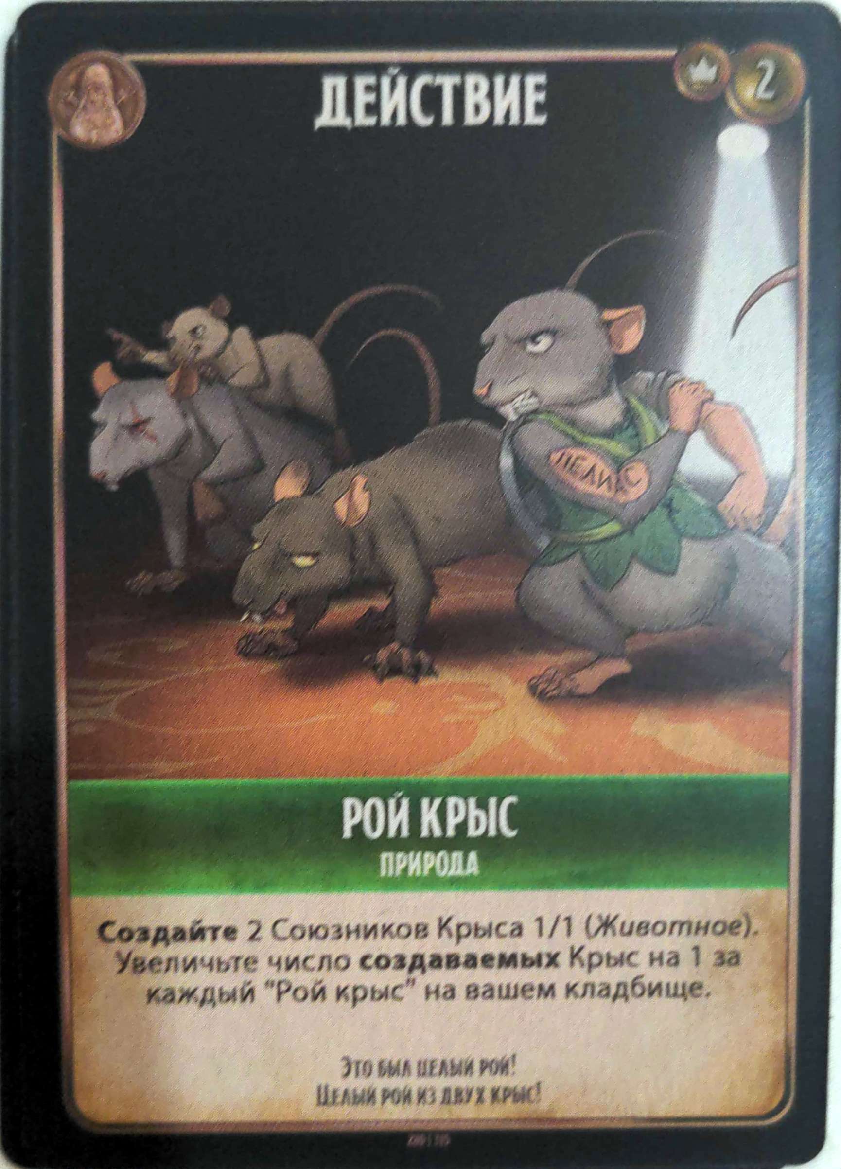 Рой крыс